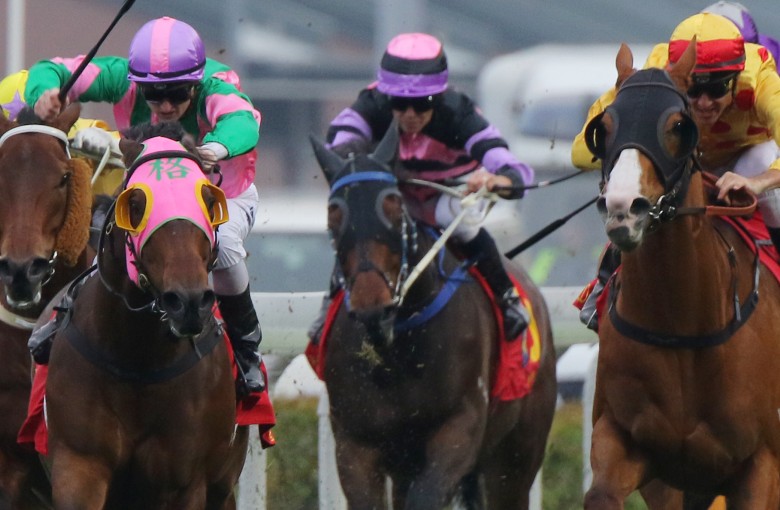 Race 7, Aerovelocity, ridden by Zac Purton, won the Centenary Sprint Cup(HK Group 1, 1200m) at Sha Tin on 31Jan16.