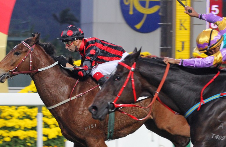 Race 11, Ashkiyr, ridden by Joao Moreira, won the class 3 over 1800m at Sha Tin on 10Feb16.