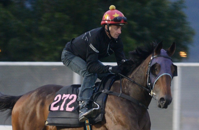 <p>John Moore can add another runner for March’s four-year-old feature if blinkers can sharpen up his Class Two contender in the Triple Trio middle leg</p>