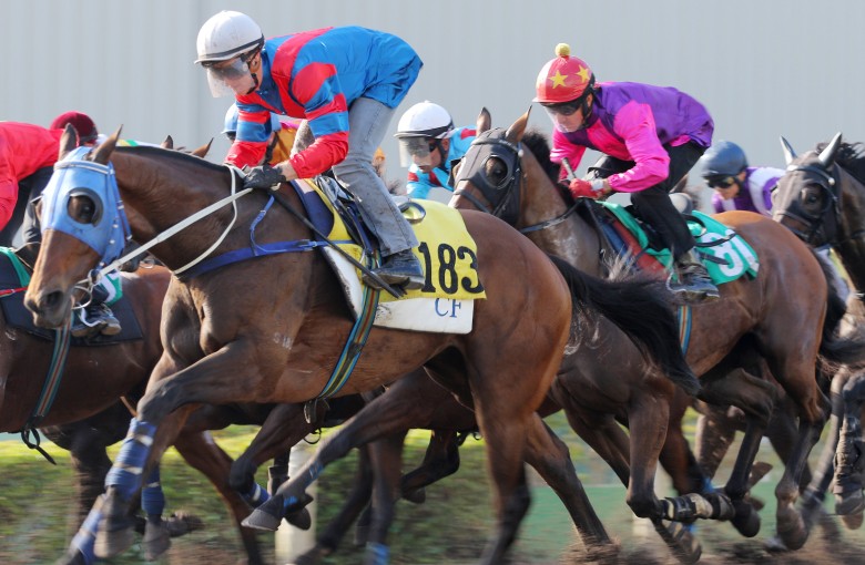 Trainer Caspar Fownes says Gun Pit’s preparation for Saturday’s Al Maktoum Challenge Round Three is going well. Photos: Kenneth Chan