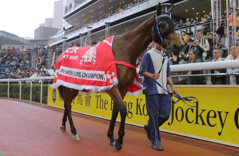 Lucky Nine parades in front of the Sha Tin crowd one final time before he heads for retirement in Australia. Photo: Kenneth Chan