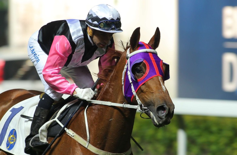 Magical Beauty was incredibly impressive in winning at Happy Valley on Wednesday night. Photo: Kenneth Chan