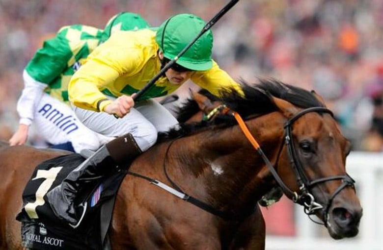 Why Horse Racing In Hong Kong Is A Different Beast Entirely Hk Racing South China Morning Post Passing the 300 metres, the reins of jockey s.zervan (petronia) were observed to have slipped from his hands momentarily. why horse racing in hong kong is a