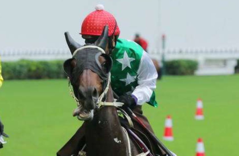 Pakistan Star went viral after his stunning last-to-first debut in July. Photo: Kenneth Chan