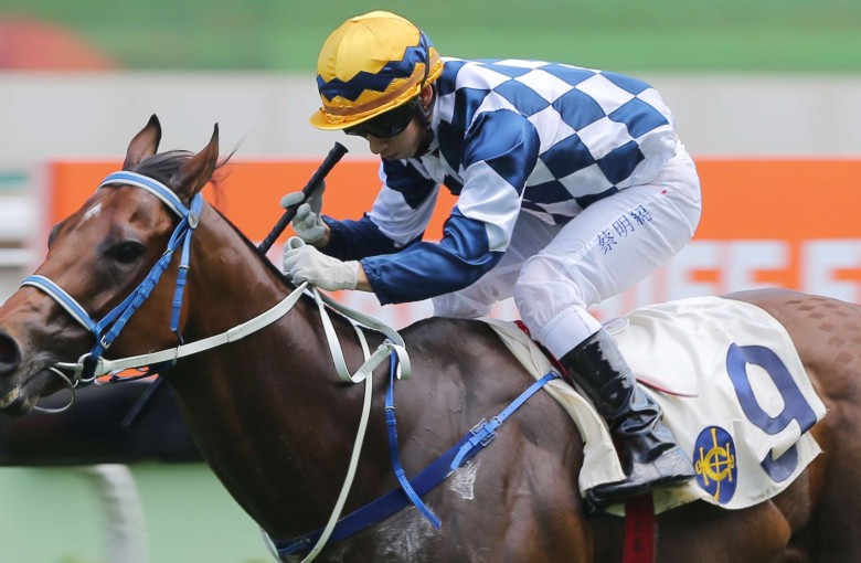 I’m In Charge has not won since the Chief Executive’s Cup last year, but looks well placed to win the Kwangtung Handicap Cup. Photo: Kenneth Chan