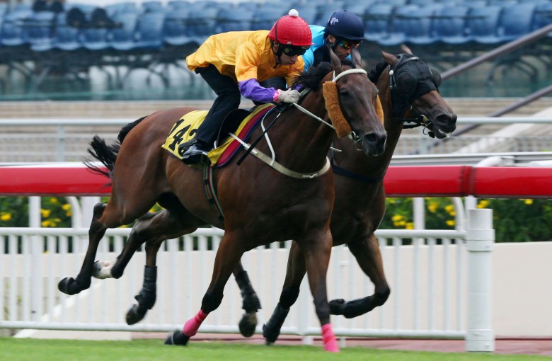 Peniaphobia ridden by Matthew Chadwick. Photos: Kenneth Chan