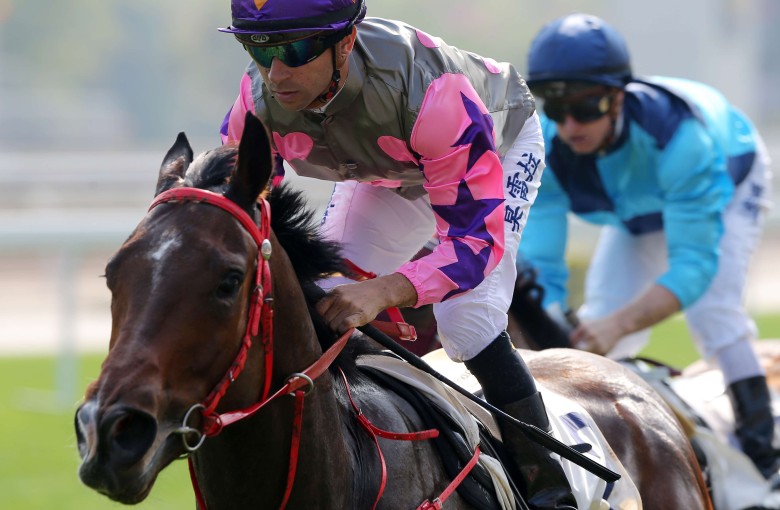 Joao Moreira guides Amazing Kids to a convincing victory in the Group Three Bauhinia Sprint Trophy at Sha Tin on Sunday. Photos: Kenneth Chan