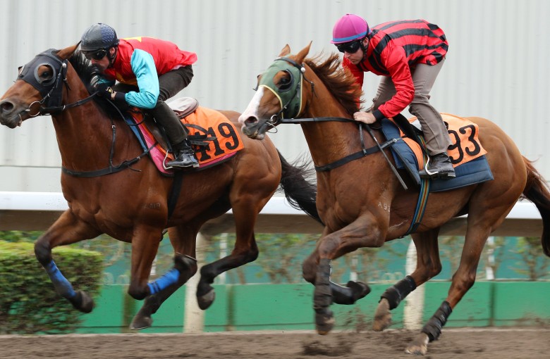 Tommy Berry trials Eagle Way (right) at Sha Tin behind Righteous Mate at Sha Tin on Friday. Photos: Kenneth Chan