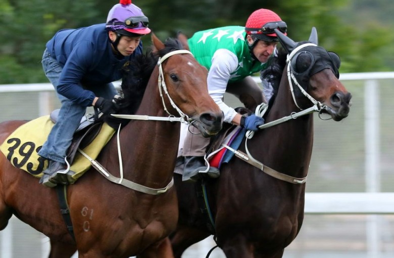 Pakistan Star (right), with trackwork rider Chris McMullen, enjoys a hit-out on Monday and is continuing along a path to his return. Photos: Kenneth Chan