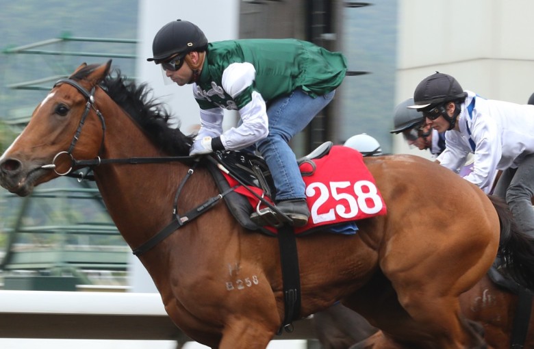 Emerald Spur trials at Sha Tin in March. Photo: Kenneth Chan