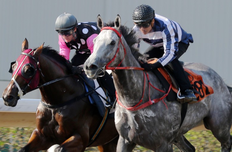 Zac Purton rides Beauty Generation (left) while Grant van Niekerk partners Fifty Fifty in a barrier trial. Photos: Kenneth Chan