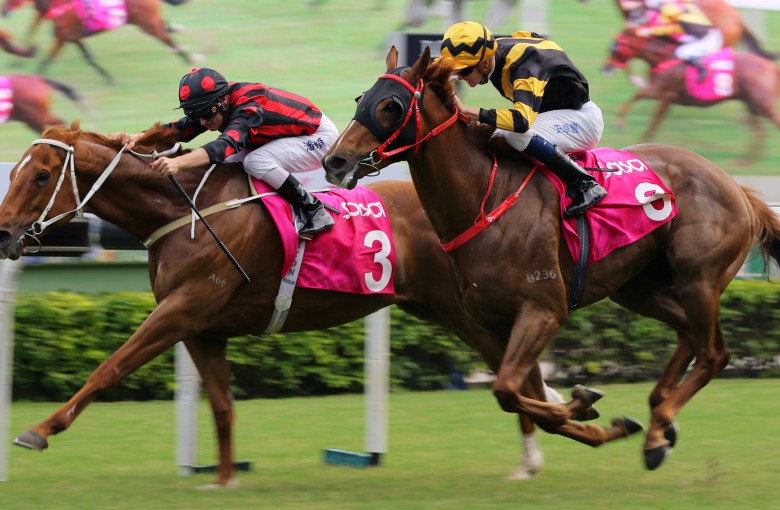Time Warp beats home his brother Glorious Forever in the Group Three Sa Sa Ladies’ Purse. Photos: Kenneth Chan