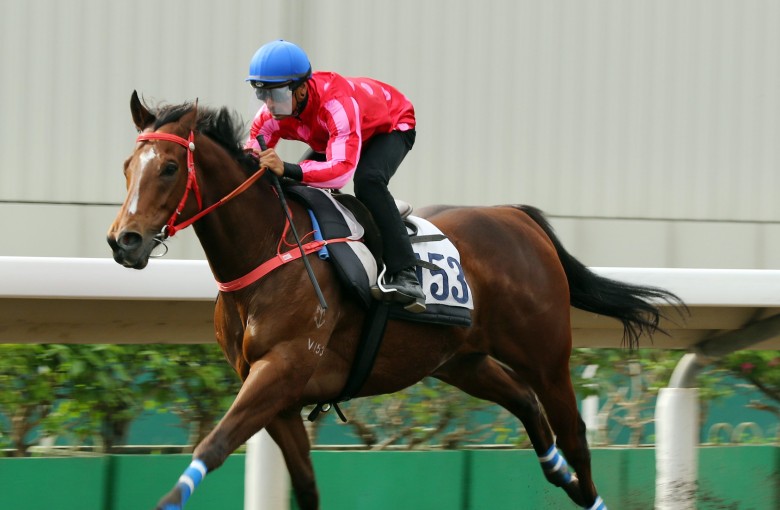 Karis Teetan cruises to a solid barrier trial victory at Sha Tin last week on Mr Stunning. Photos: Kenneth Chan