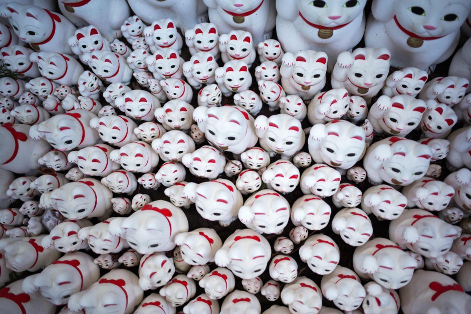 Tokyo S Lucky Cat Temple Gets Instagrammers Snapping South China Morning Post