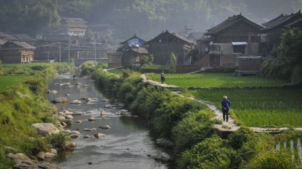 china can boost farm subsidies without distorting trade south