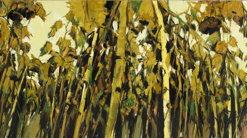 Which Of These Fields Was The “lost Generation” Associated With? Xu Jiang's sunflowers are symbol of a lost generation | South China