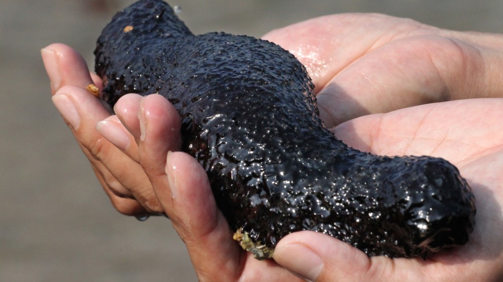 More valuable than gold, but not for long sea