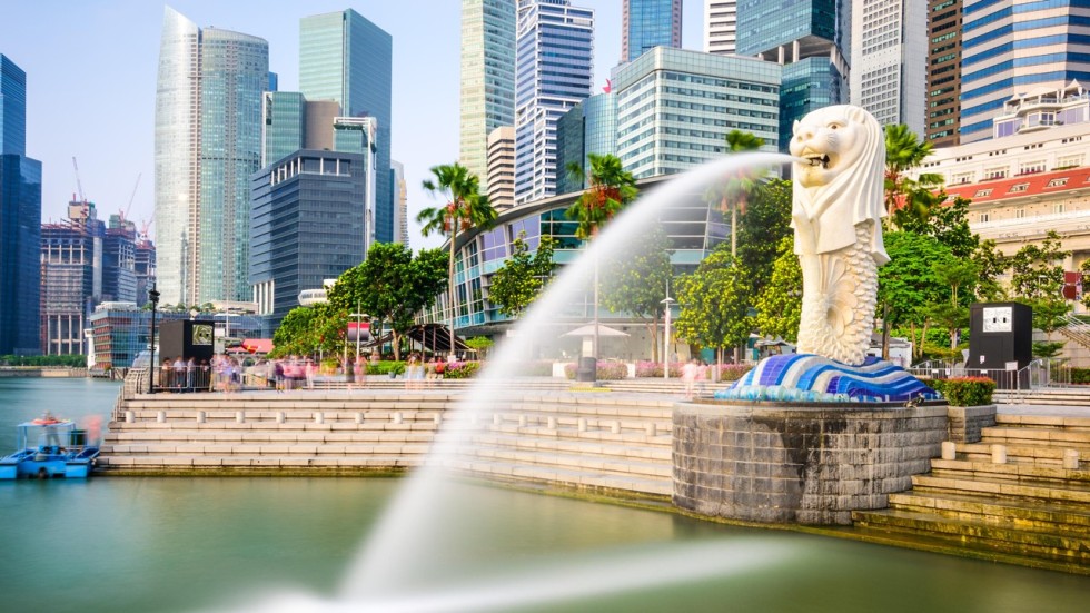 Image result for attraction leisure business