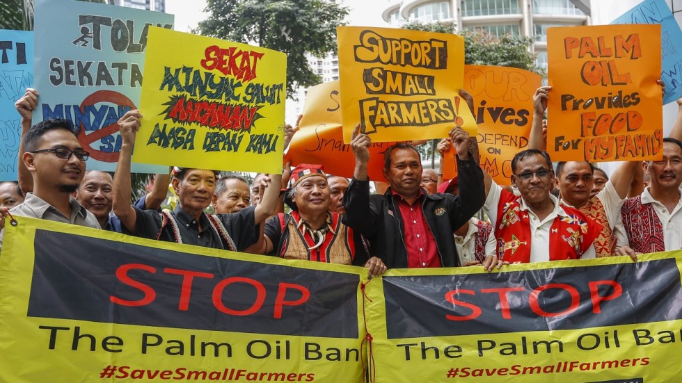 Malaysian palm oil farmers protest ban by European Parliament, claiming