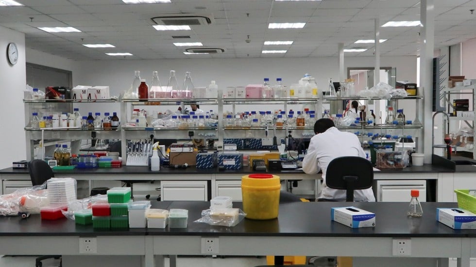 Hong Kong 18A Innovative Drug Sector Adjustment: Divergence Between Stock Prices & Fundamentals and Investment Opportunities