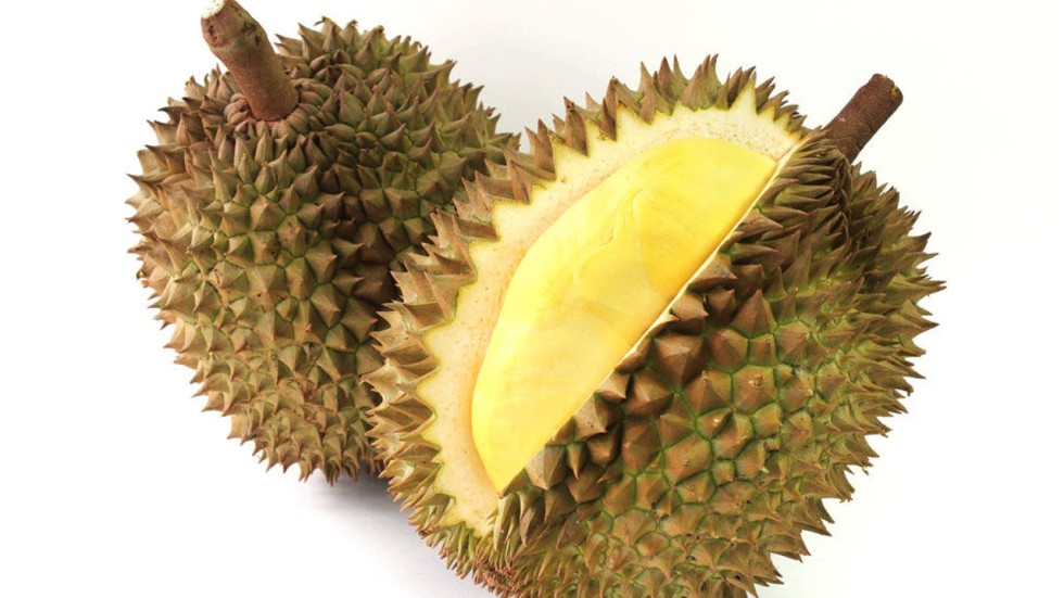 Image result for durian