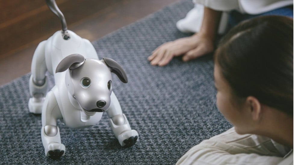 The truth about robot cats and dogs: can they replace real pets