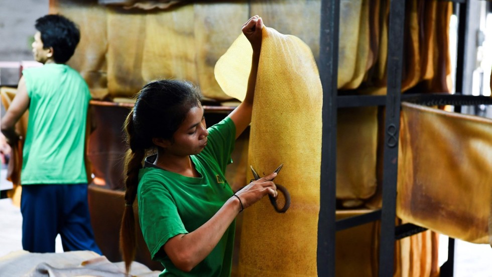 How Thailand, the world’s largest rubber producer, became a casualty in
