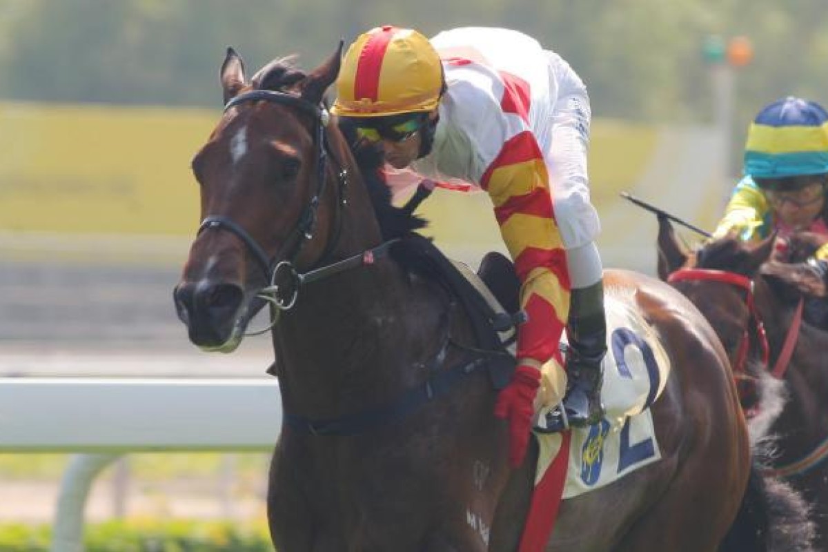 Brett Prebble pats Solar Great for a job well done. Photo: Kenneth Chan