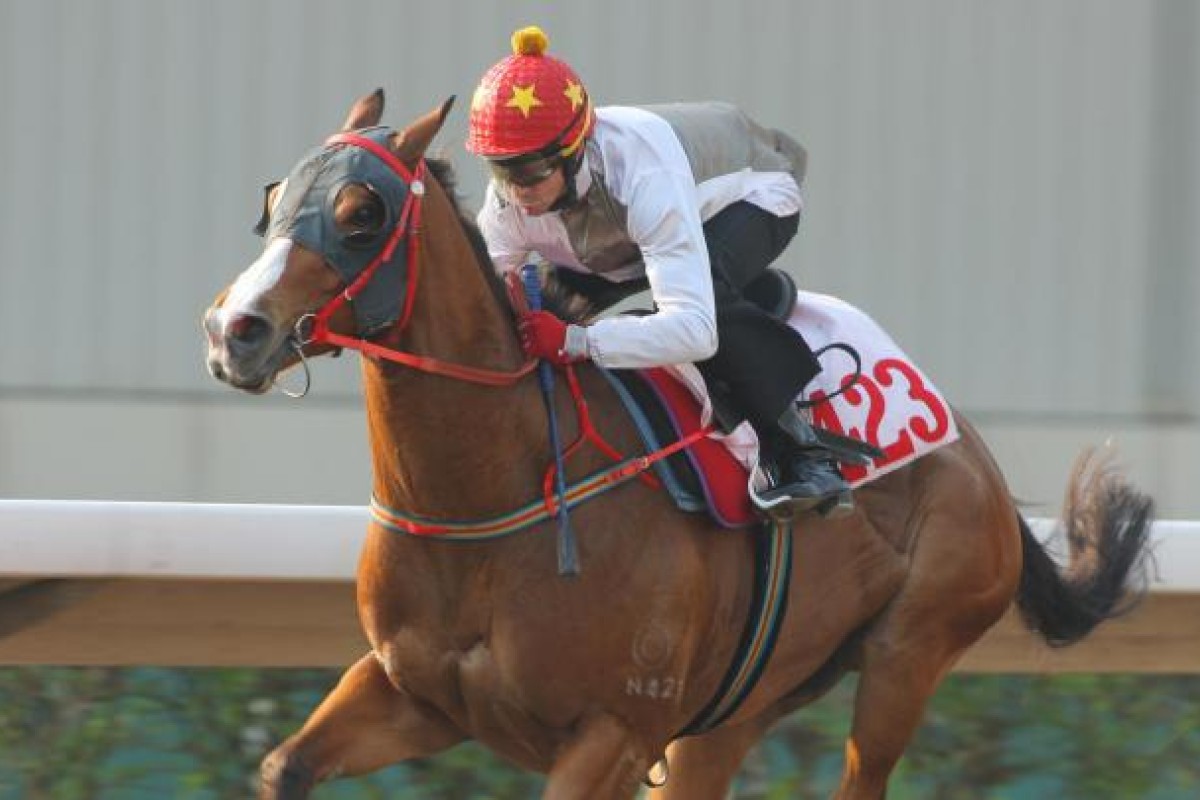 Victorius has had a solid preparation, including five trials.