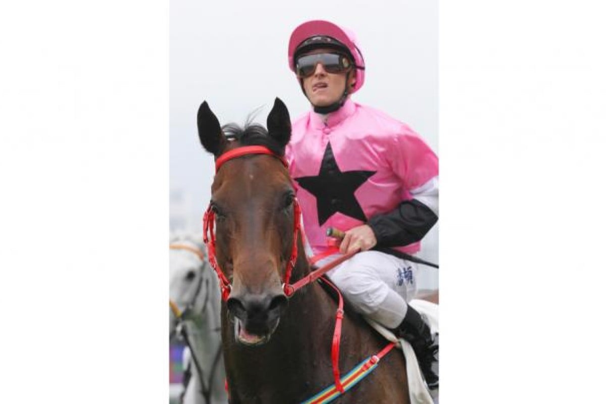 Little Cow will be aimed at big races in England.