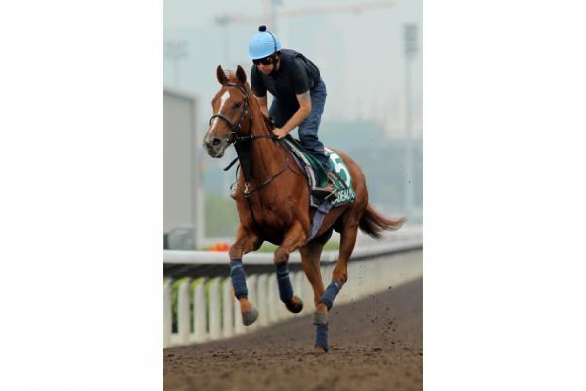 The 2011 Hong Kong Vase runner Red Cadeaux. Photo: Kenneth Chan