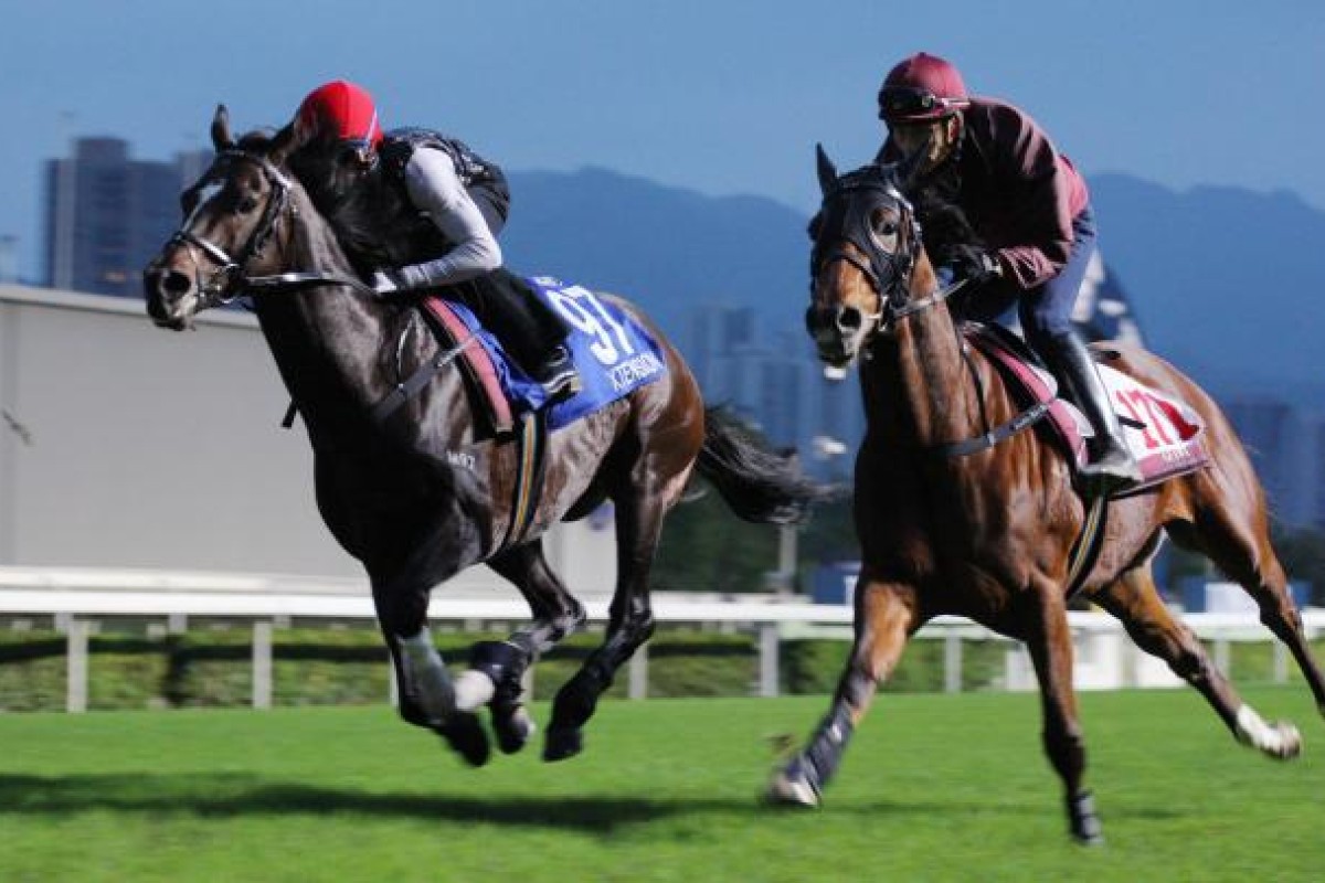 Xtension shades Charles The Great in their gallop.