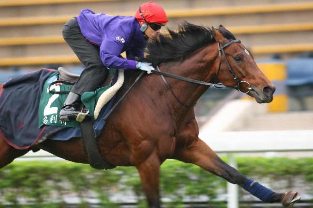 Craig Williams gets Dunaden reacquainted with the Sha Tin turf yesterday. Photo: Kenneth Chan