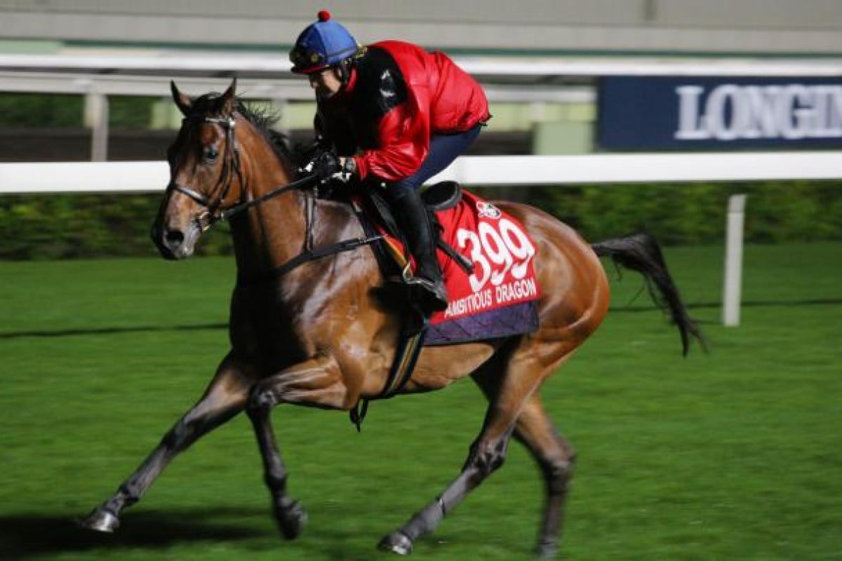 Ambitious Dragon is under a good hold by Beverley Millard, wife of trainer Tony, during a gentle gallop on the course proper yesterday. Photo: Kenneth Chan