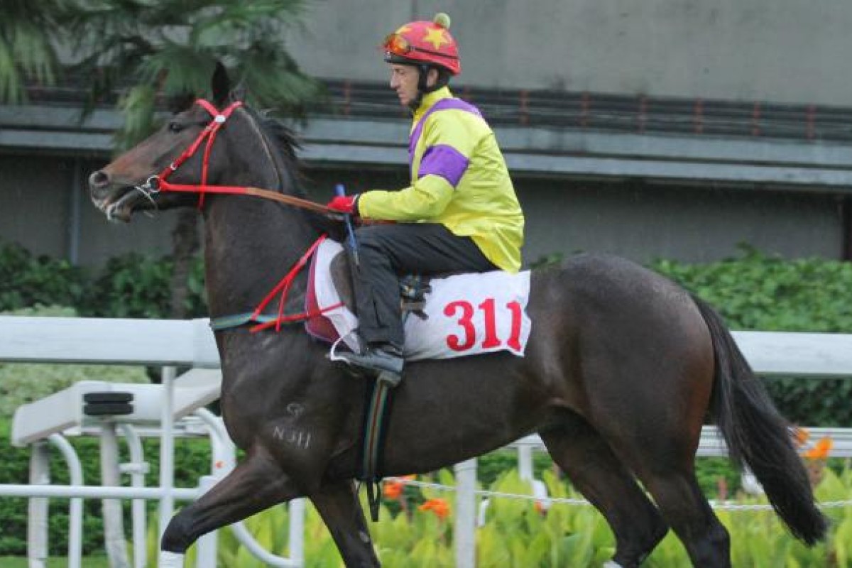 All Bountiful ridden by Douglas Whyte.