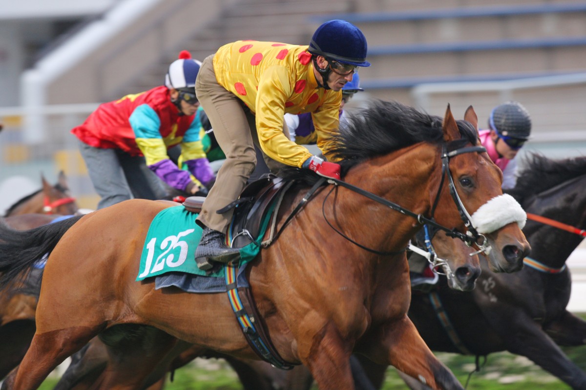 Big-money buy Akeed Mofeed and his trainer, Richard Gibson, will be under plenty of pressure. Photo: Kenneth Chan