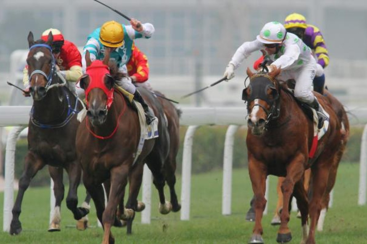 Zac Purton gets the best out of Mr Ginger to win race three.