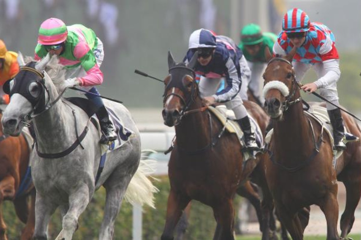 Winning Instinct (grey) keeps Douglas Whyte's winners ticking over. Photo: Kenneth Chan