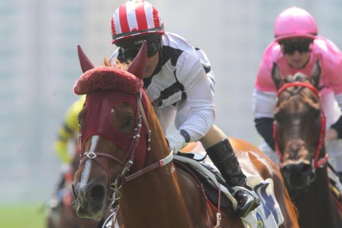 A relaxed Straight Gold (Weichong Marwing), sporting an unusual looking headgear - a sheepskin brow band - shows a powerful turn of foot to win race three, beating hotpot Little Cow. Photo: Kenneth Chan