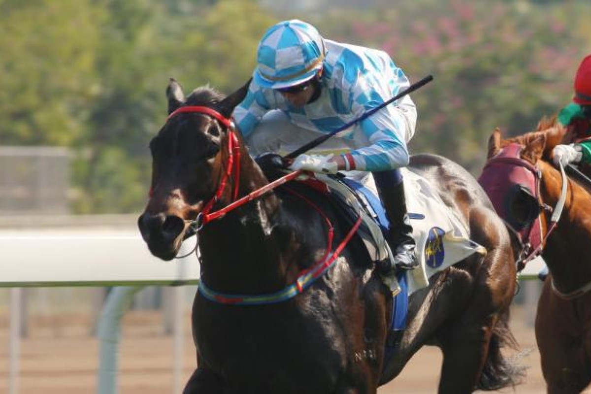 Little Men (Douglas Whyte) wins well but not before being slow out of the gates. Photo: Kenneth Chan