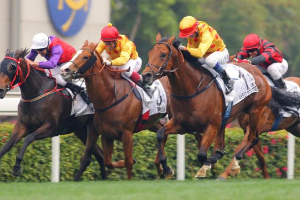 Akeed Mofeed (Douglas Whyte) scrambles in by a half-length over Endowing (Dwayne Dunn) and stablemate Gold-Fun (Olivier Doleuze) in yesterday's stop-start Hong Kong Derby. Photo: Kenneth Chan