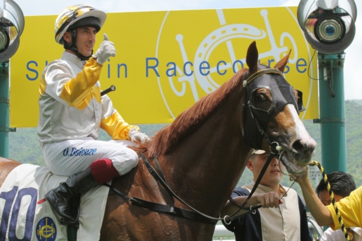 Dragon Choice, ridden by Olivier Doleuze
