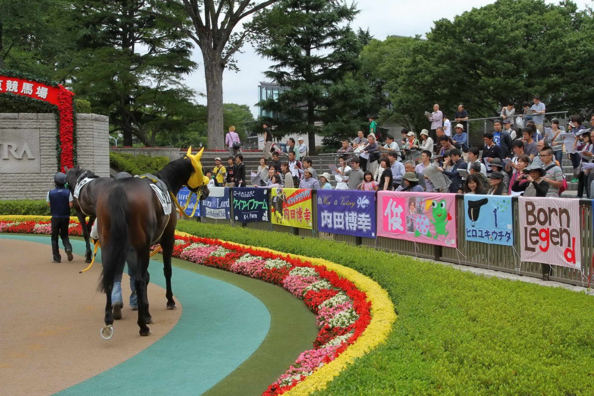 Brightly coloured hoods and banners are a feature of Japanese racing. 