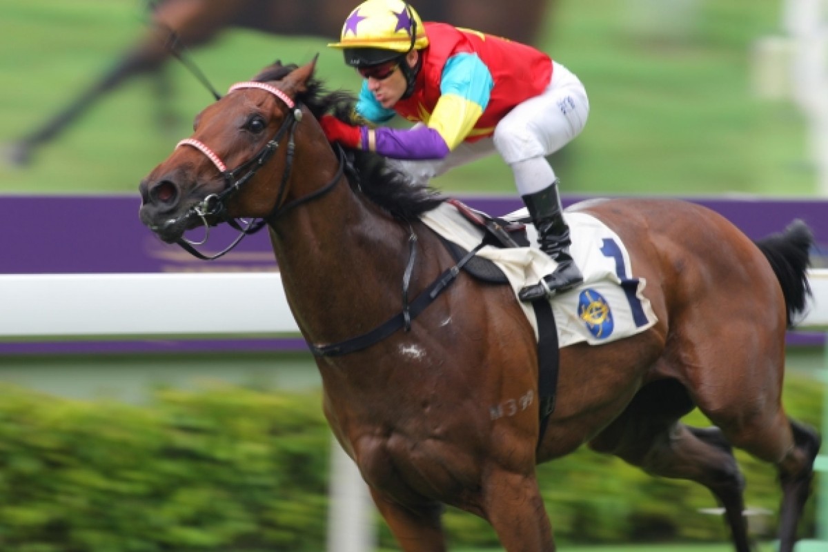 Polymer Win appreciated the softer ground at Sha Tin yesterday. Photo: Kenneth Chan