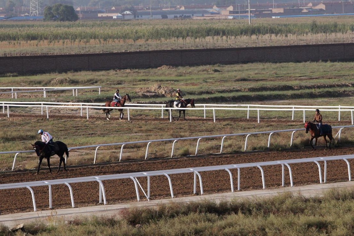 The dirt track was built in corn fields on the outskirts of Hohhot. Photos: David Wong