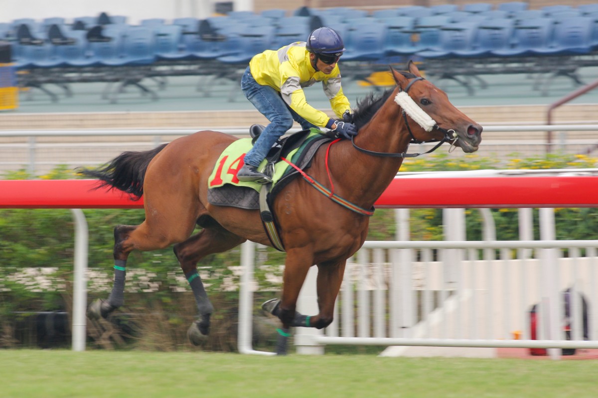 Joy And Fun is still a force to be reckoned with as he showed in Tuesday's trial. Photo: Kenneth Chan 