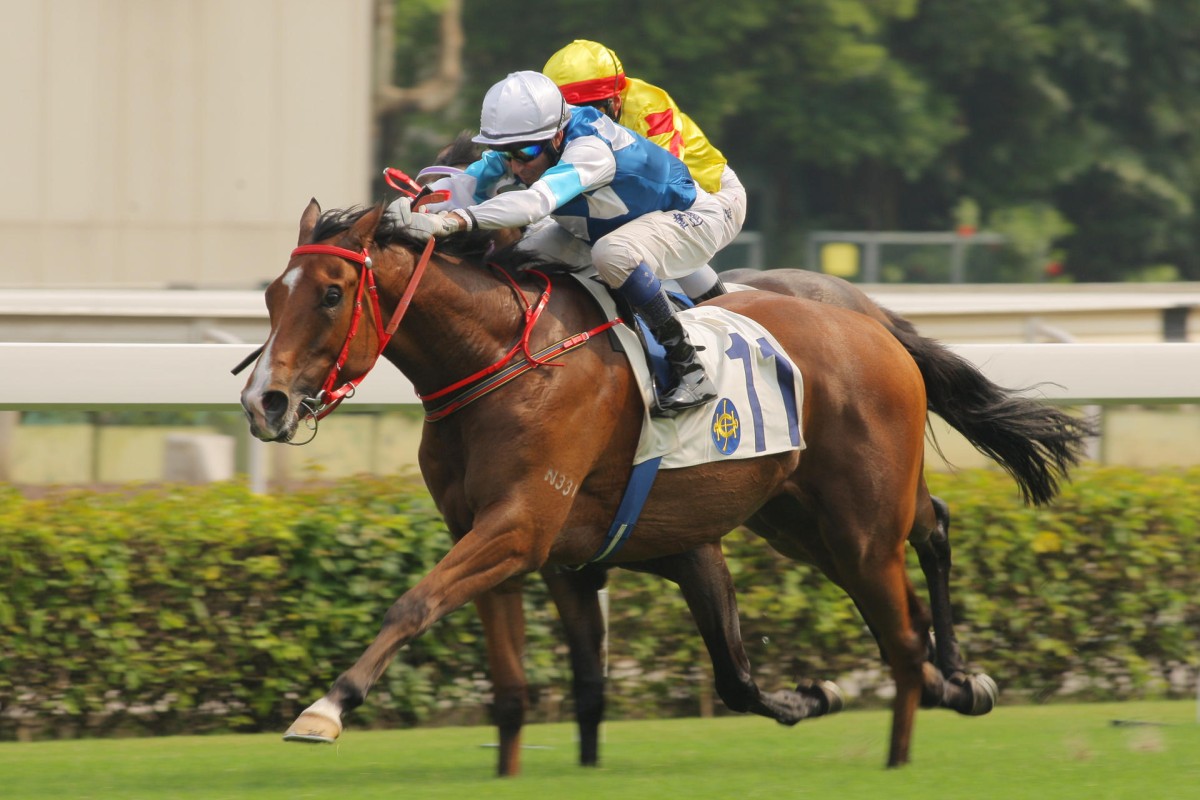 Jack's Gem won well last start. Photo: Kenneth Chan