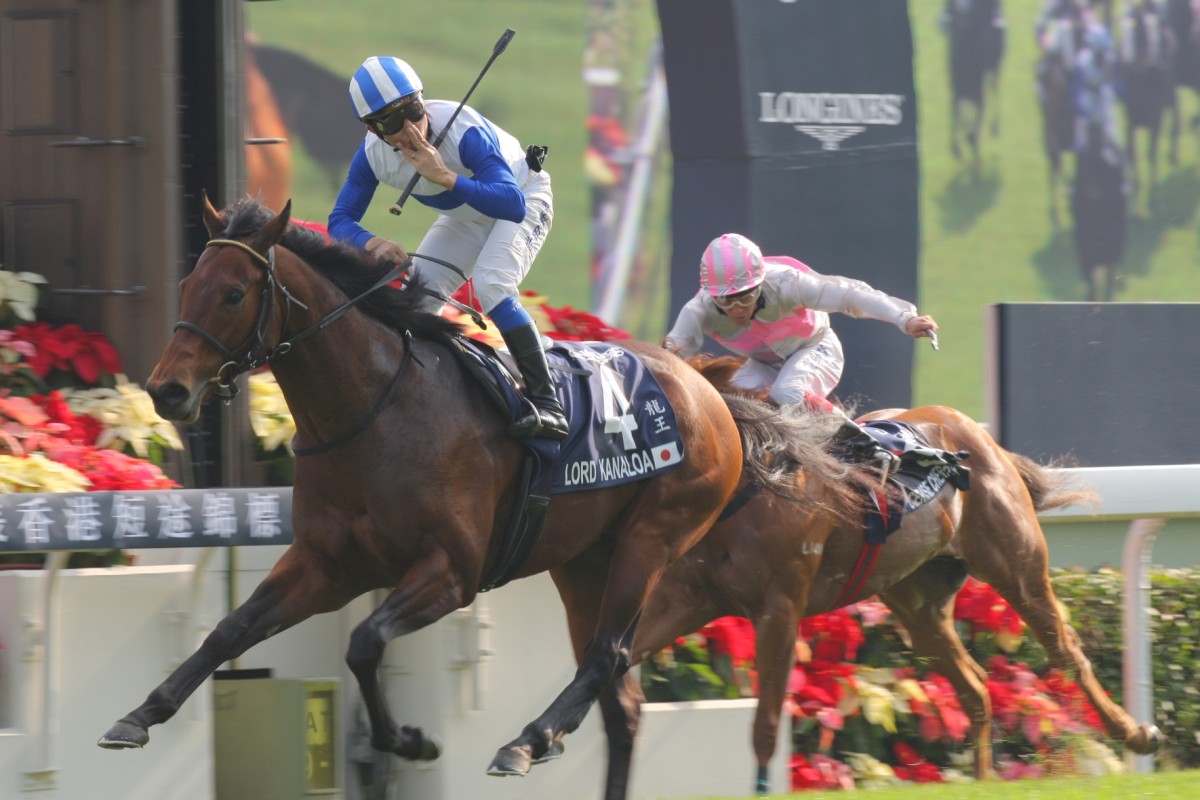 Lord Kanaloa, winning the Longines Hong Kong Sprint for Yasunari  Iwata, will hopefully clash with Moonlight Cloud at Sha Tin in December. Photo: Kenneth Chan