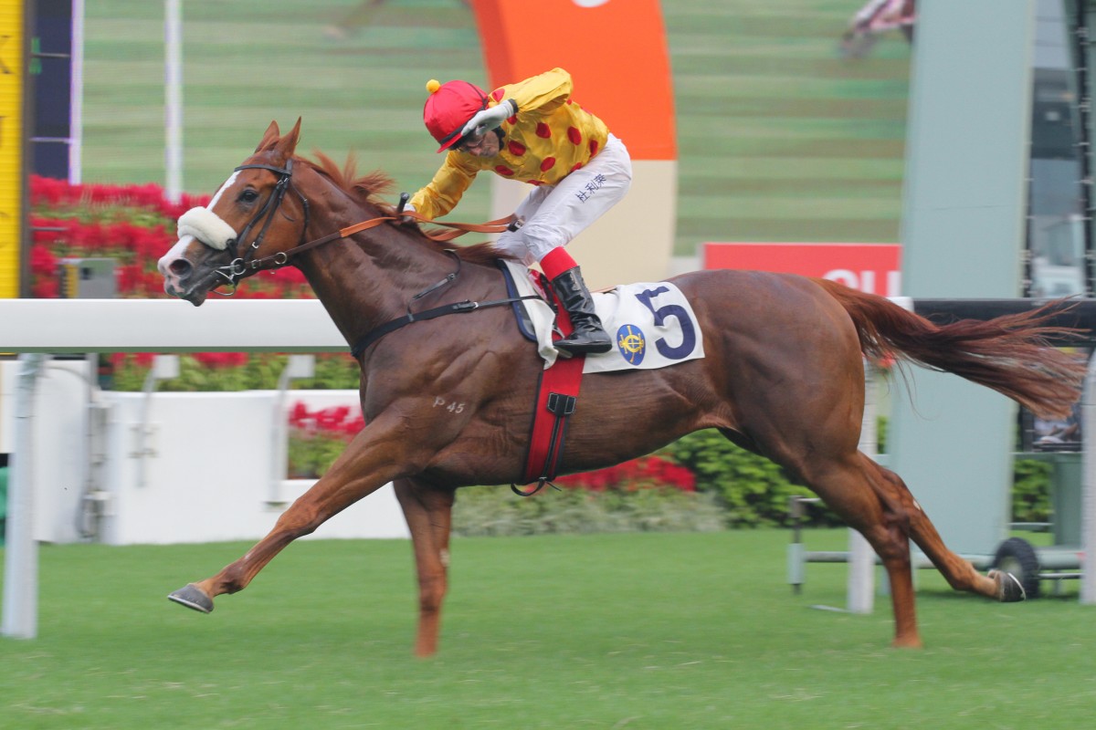 Gold-Fun, ridden by Olivier Doleuze, wins the National Day Cup. Photo: Kenneth Chan