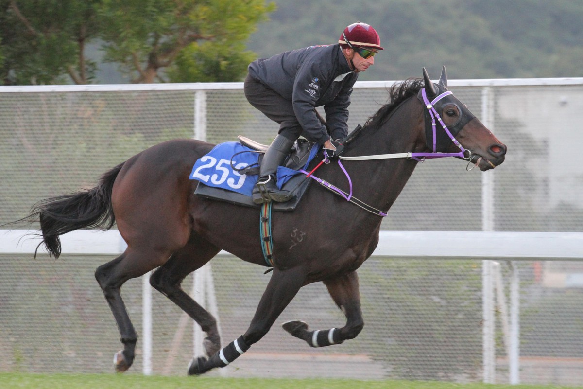 Gerald Mosse takes Time After Time for a gallop at Sha Tin. Photo: Kenneth Chan 